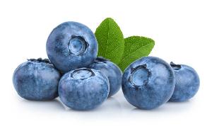 Factory Supply Fresh Blue berries for sale