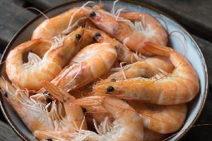 Best Quality Frozen Shrimp For Sale