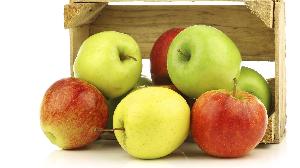 Fresh Quality Red/Green Apples For sale