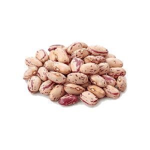 Natural Health Sugar Beans Dry Bulk White Kidney Beans