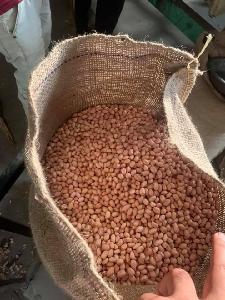 Good Quality Raw Peanuts Available