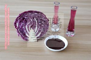 E163 anthocyanin cabbage red
