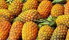 Fresh Pineapple Wholesale Fresh Pineapple Golden Pineapples