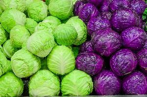 High Quality Fresh Cabbage Vegetables