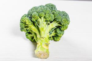 Fresh Broccoli / Quality Broccoli / Broccoli