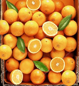 Juicy Honey Oranges Fresh Oranges