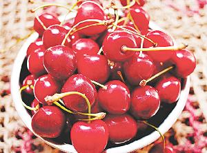 Fresh Chery Fruit / Red Sweet Cherry