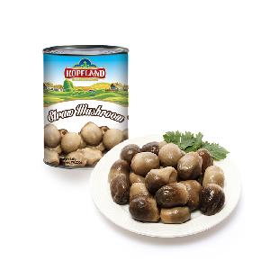 Canned Straw Mushrooms