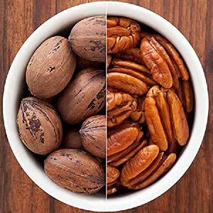 100% Natural First Quality Roasted Salted pecans nuts with shell pecan nuts raw
