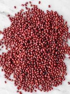 high quality small red beans adzuki beans South Africa red bean for big size