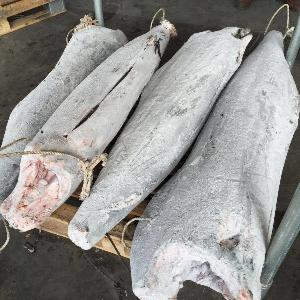 Black Marlin Wholesale HGT Frozen Blue Marlin