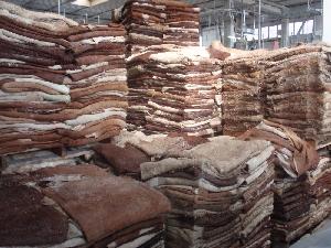 Dry / Wet Salted Donkey Hide on 30% Discount Sale