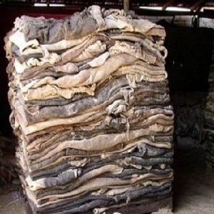 Hot Selling Price Of Raw Wet Salted and Dried Cow Leather / Hides / Skins In Bulk Quantity