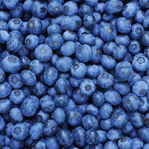 Wholesale Frozen blueberry