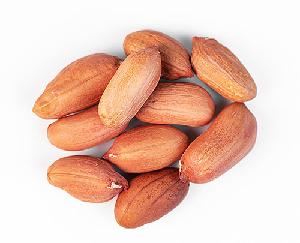 Quality Bold Raw Peanut Kernel Groundnut Peanuts