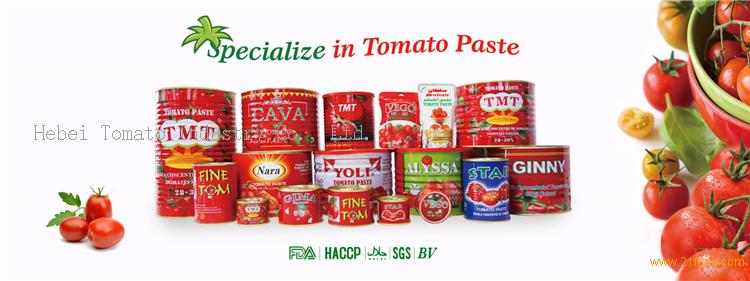 fresh red color west Africa 2200g HO canned tomato paste