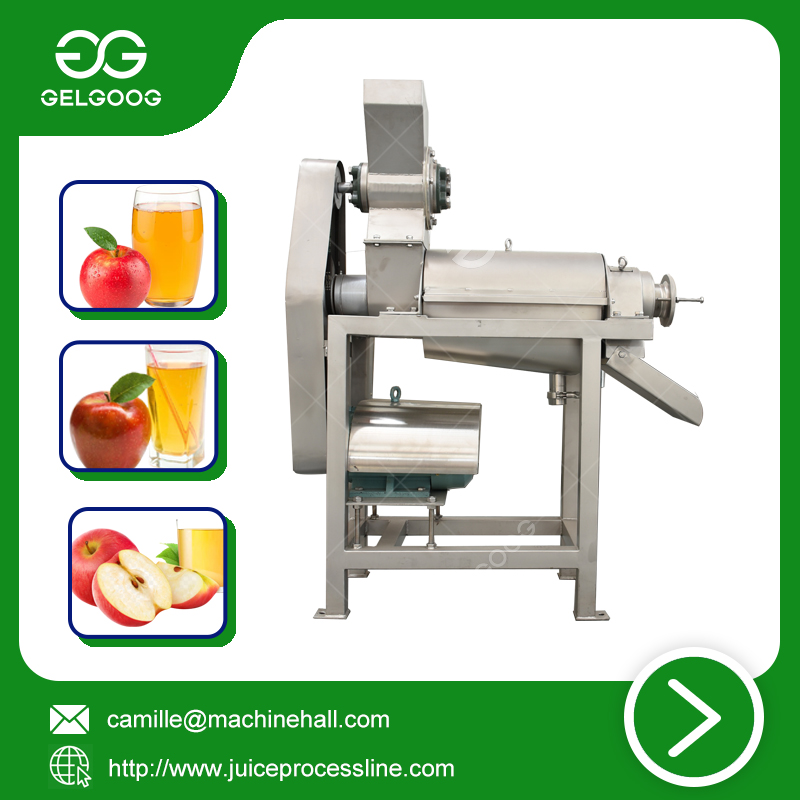 Apple juicer cheap