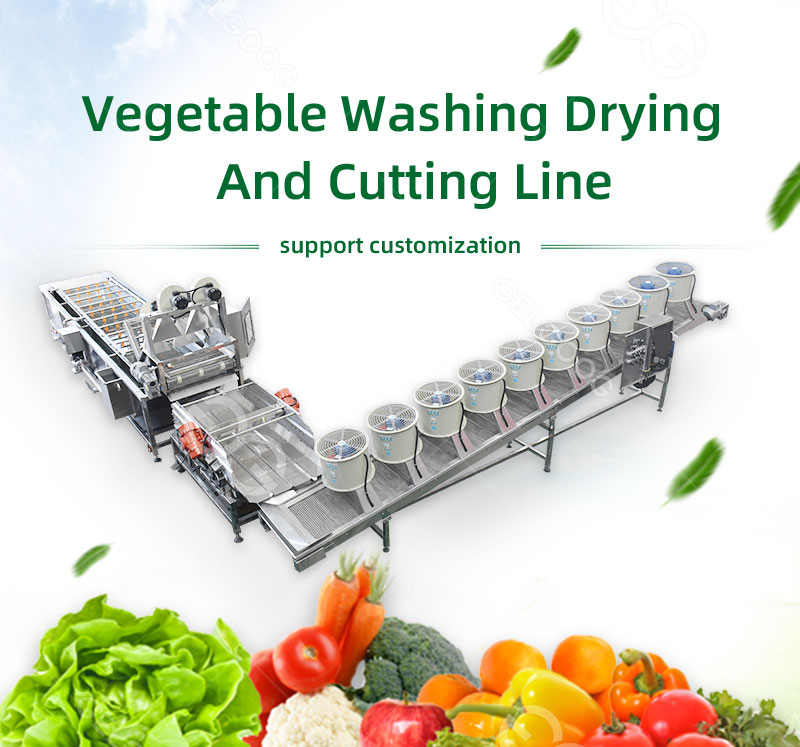 Vegetable Dryers, Vegetable Washing Line