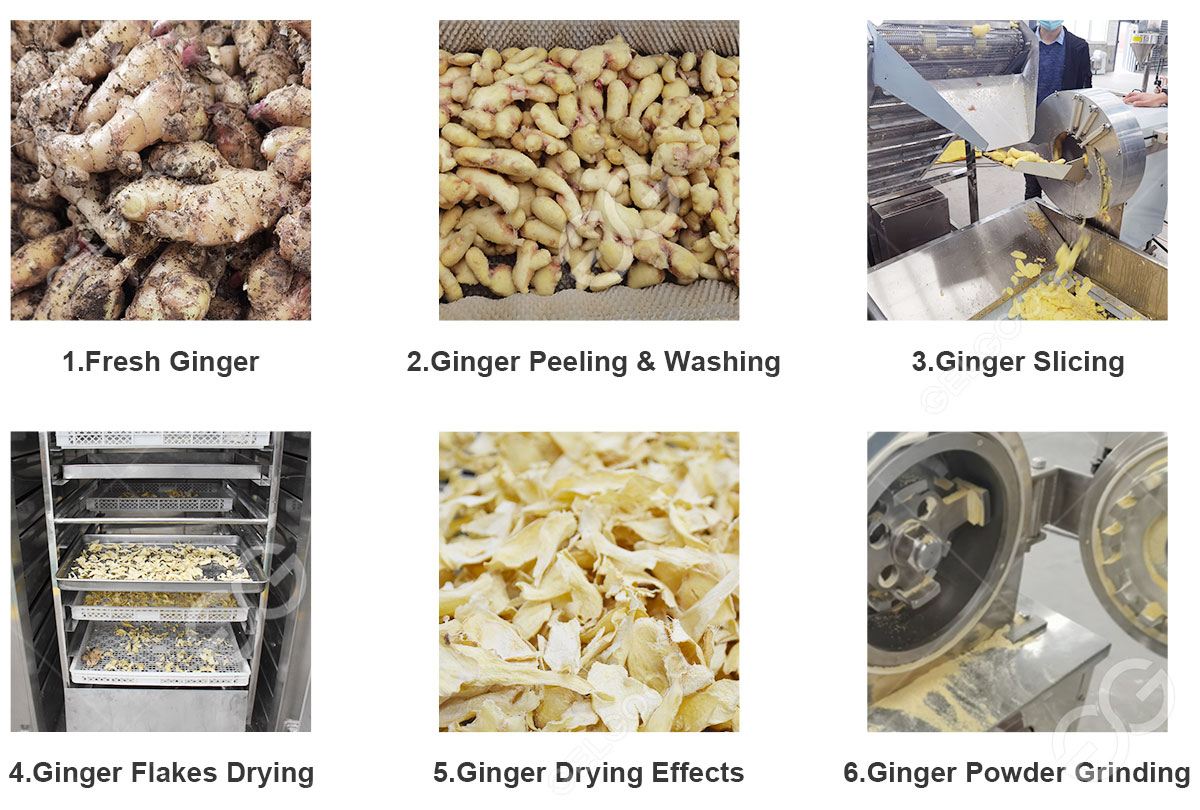 ginger powder processing flow chart