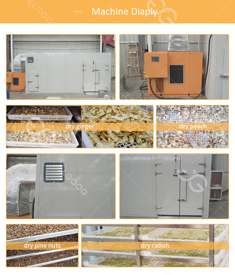 Industrial Red Chilli Drying Technology Chili Pepper Drying Machine