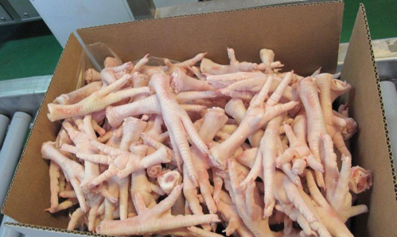 Premium Quality Frozen Chicken Feet and Paws Available