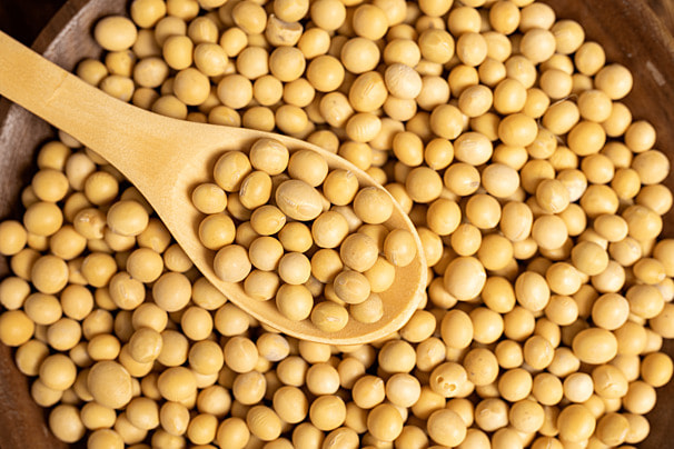 High Quality factory price organic yellow kernel green kernel - black soybeans Black soya Beans