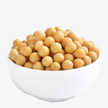 Natural and Non- GMO Yellow Soybean/ Soya Bean /Soy Beans for Human Consumption