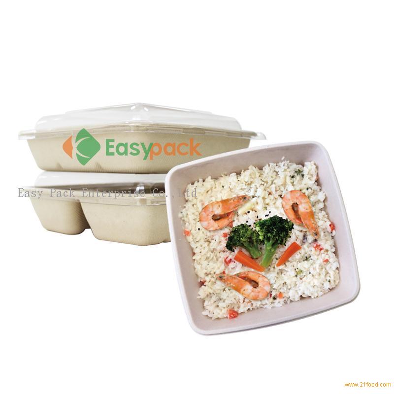 Disposable Plastic 2 3 Compartment Plastic Takeaway Bento Lunch Box Food  Container - China Disposable Plastic Container and Disposable Plastic  Packaging price