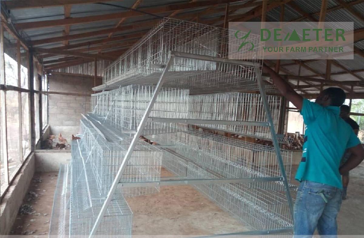 Poultry farming layer chicken cage system for sale in Lusaka Zambia