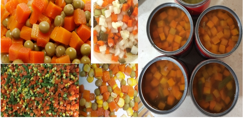 Canned Mixed Vegetables