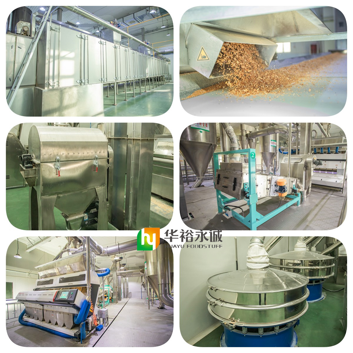 Pure Onion Powder for Food Processing Customized Packaging