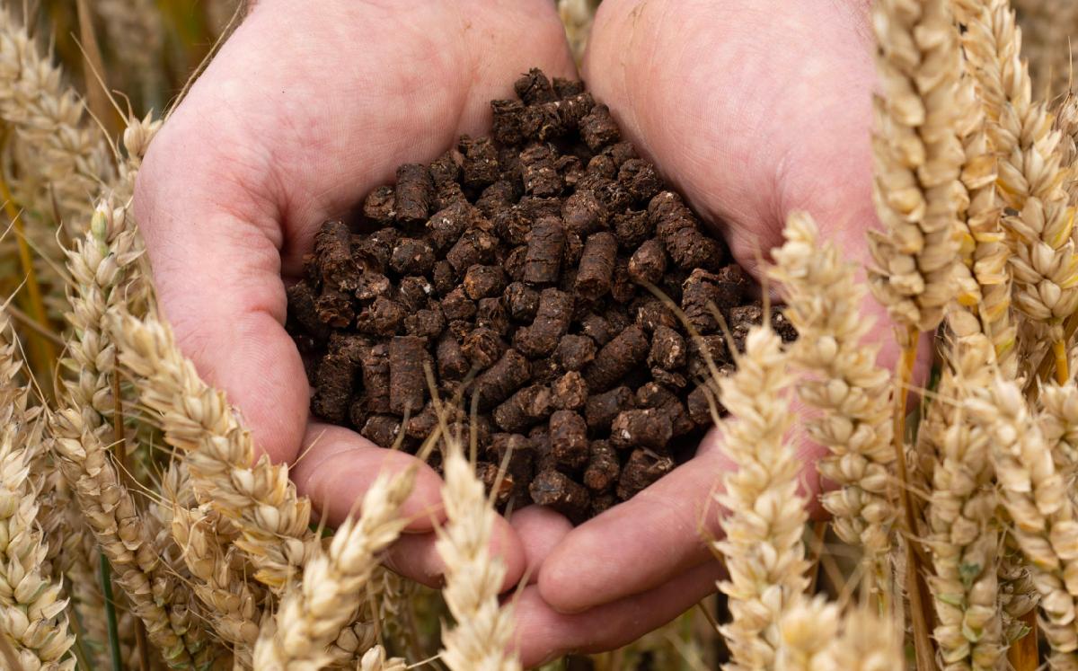 Project turns cocoa shells into low-carbon fertiliser