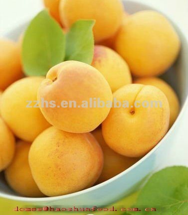 Canned apricot halves in syrup, canned fresh apricot from China