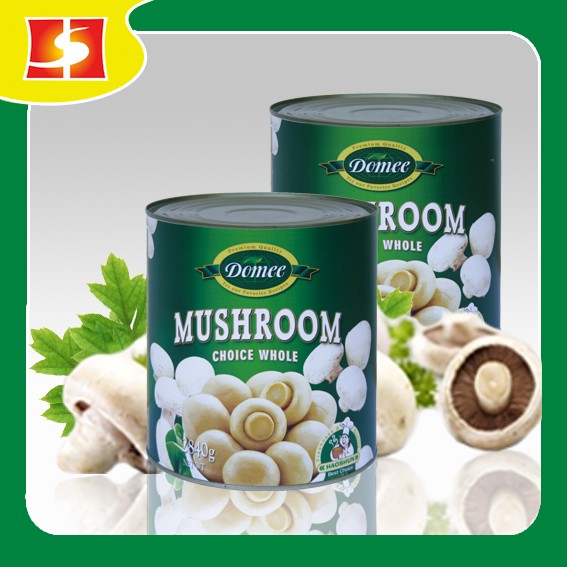 Wholesale fresh and delicious canned mushroom whole
