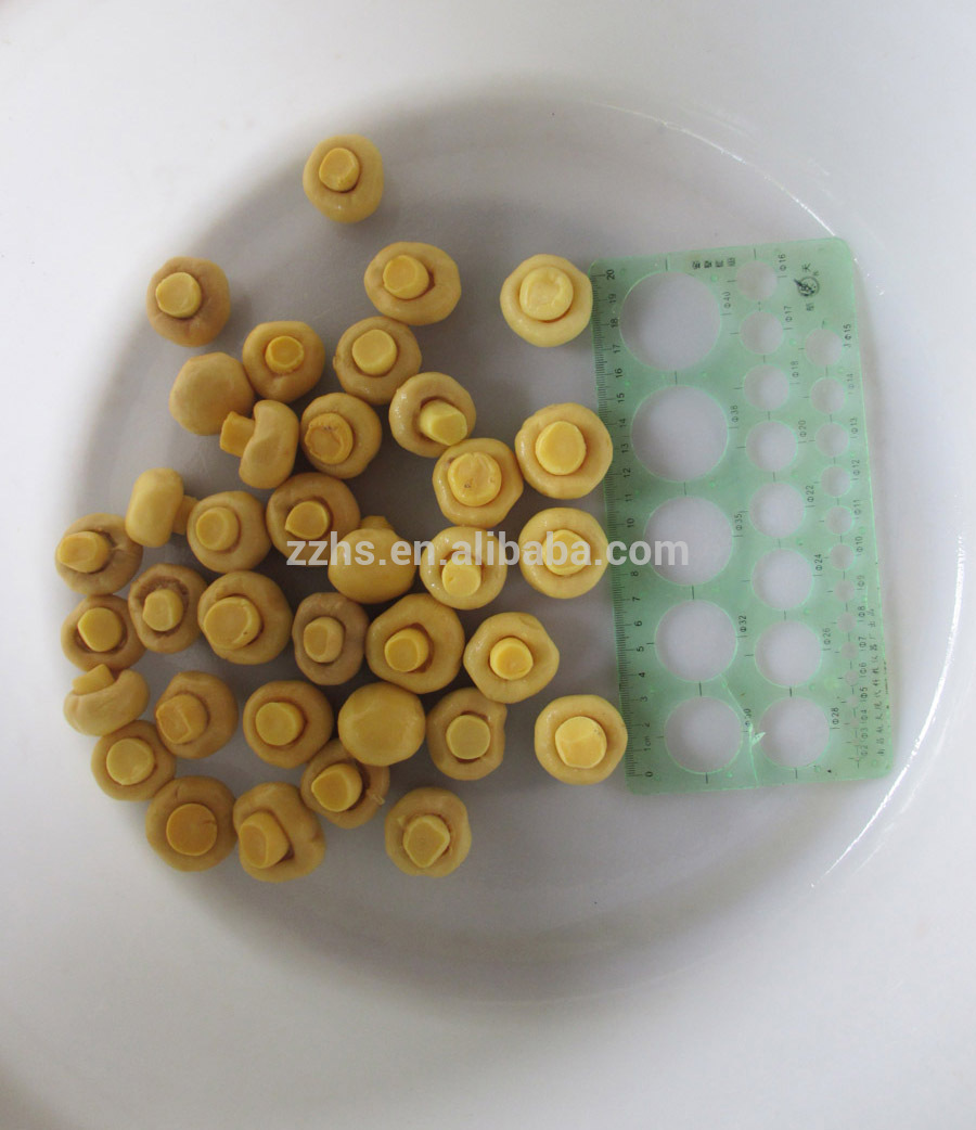 Canned Whole Button Mushroom Brazil Canned Food