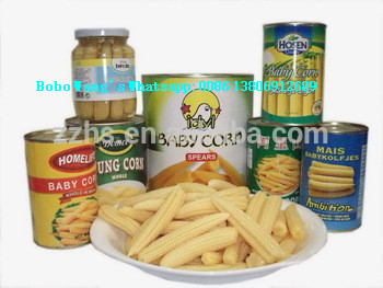 HALAL Products Baby Corn Processing Canned Baby Corn in Glass Jars Canned Vegetable