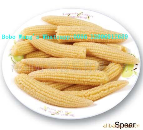 HALAL Products Baby Corn Processing Canned Baby Corn in Glass Jars Canned Vegetable