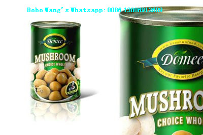 Canned Whole Mushroom Button Mushroom Price Mushroom in Brine