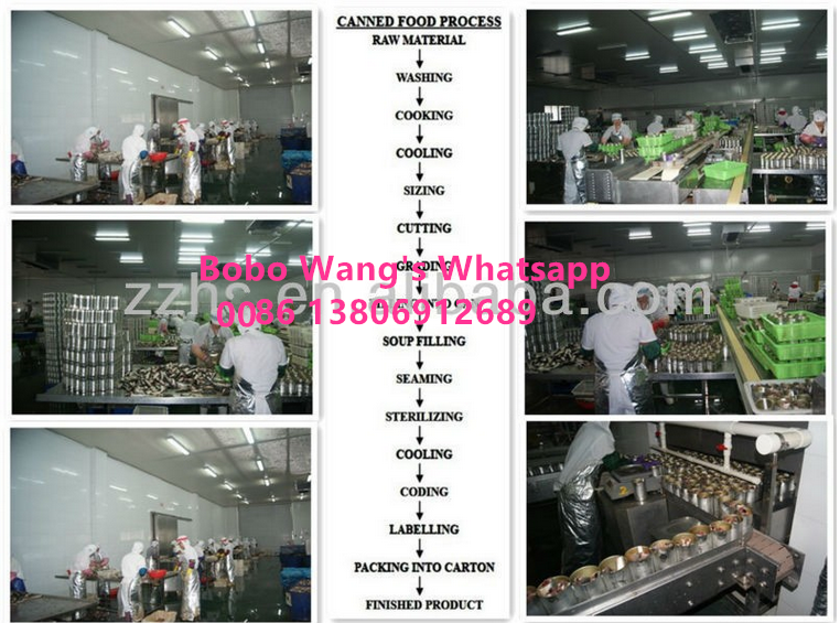Canned Whole Mushroom Button Mushroom Price Mushroom in Brine