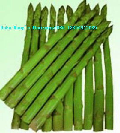 Canned White Asparagus With Whole Shape