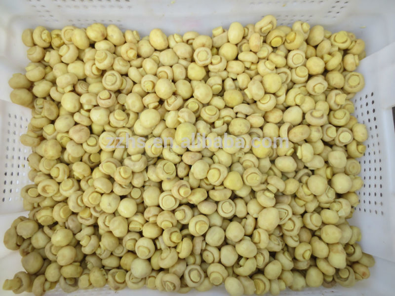 Mushroom in Brine Button Mushroom Cultivation Canned Food Factories