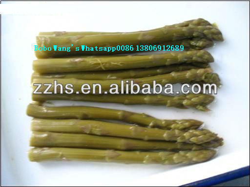 Canned White Asparagus In Tins