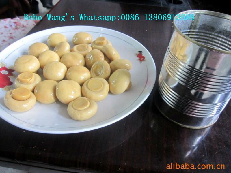 Canned Whole Mushrooms in Brine