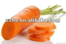 Canned Carrot Sliced In Glass Jars