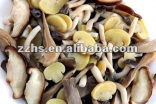 Canned Mix Mushroom in Brine Canned Vegetable1