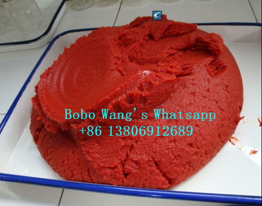 Double Concentrate Canned Tomato Paste