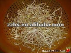 Canned Bean Sprout soy-bean or Mung bean