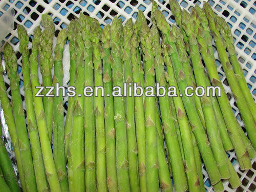 Tinned Kosher Asparagus 430g Canned Asparagus Spears Food Preservatives