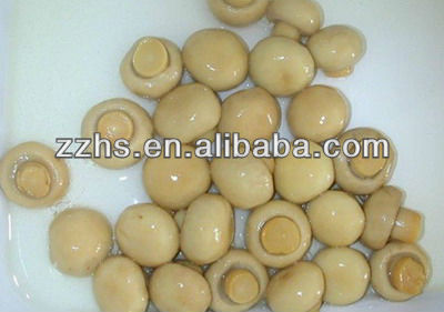 Food Preservation Button Mushroom Cultivation Mushrooms in Conserve