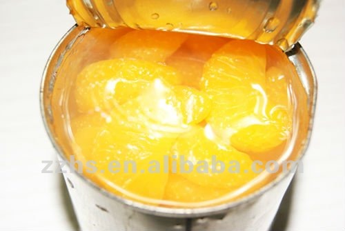 Canned Oranges in light Syrup